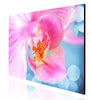 Photo Luster Prints