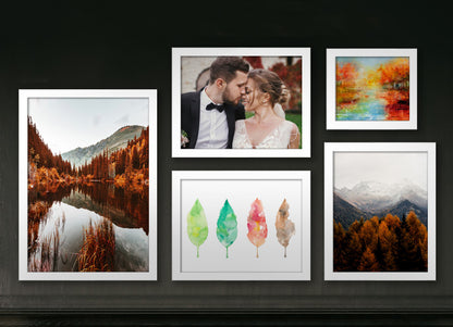 Exhibition Photo Rag Prints