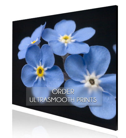 Ultrasmooth Prints - Pixels & Ink - giclée and fine art printing Reno, Lake Tahoe, Santa Barbara - 1