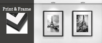 Framed Print Special